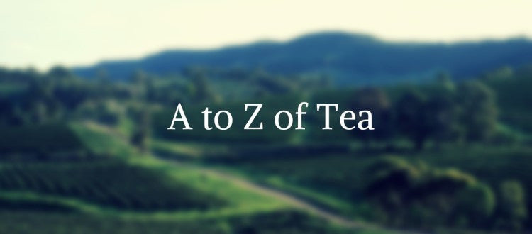 Tea terminology - the language of tea tasting